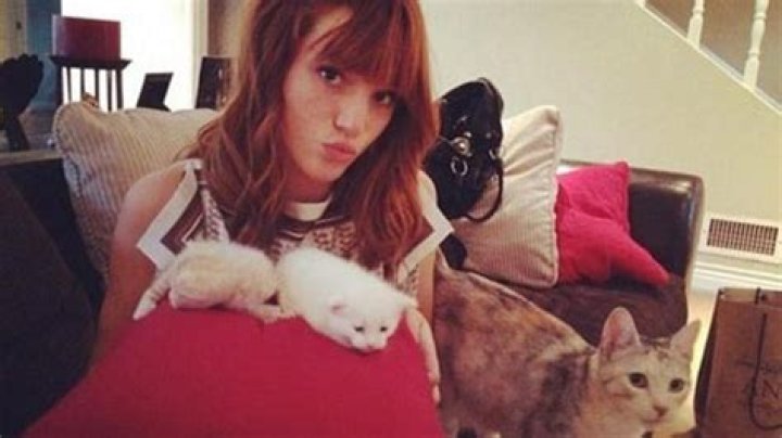 Bella Thorne Pets