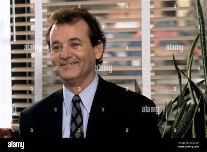 Bill Murray's pet Timber Murray