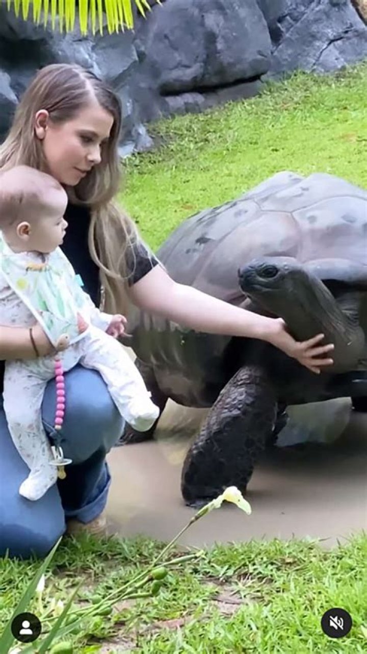 Bindi Irwin Pets