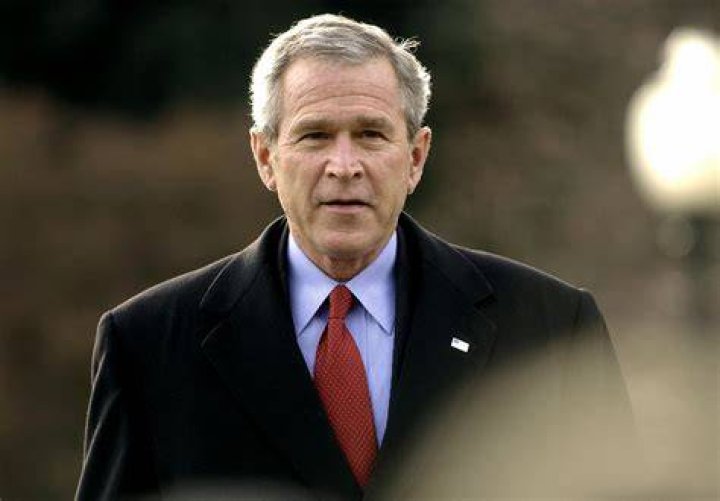 bush