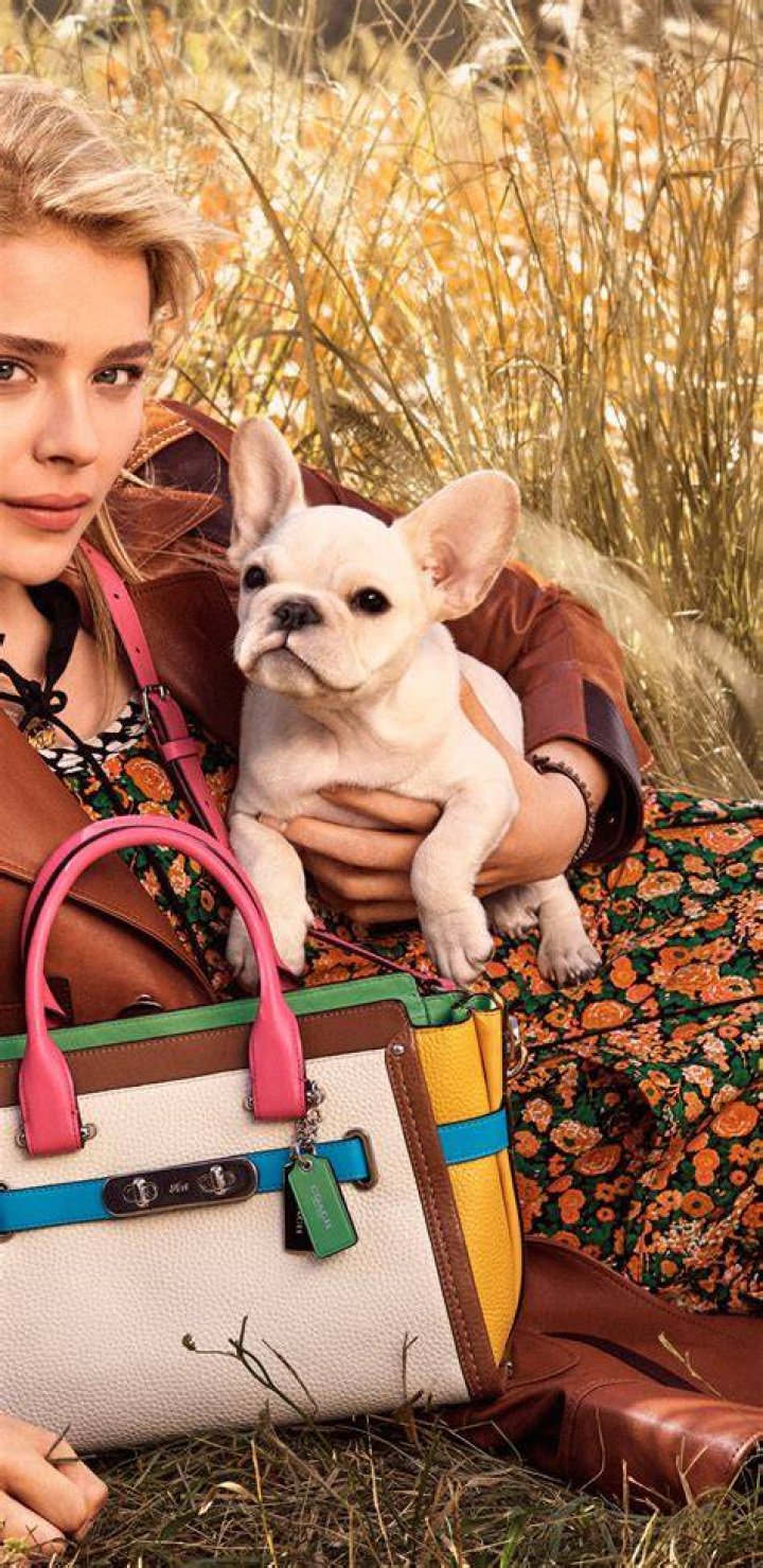 chloe endorsing coach brand