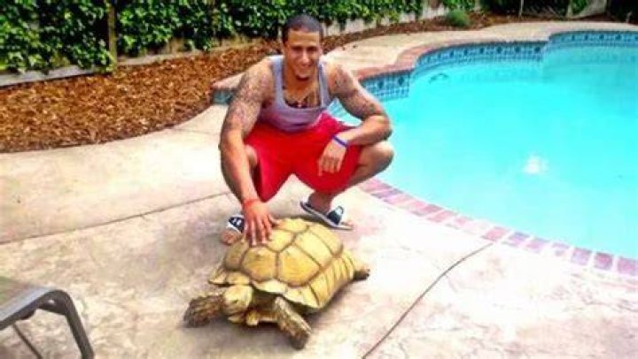 Colin Kaepernick Pets - Celebrity Pets