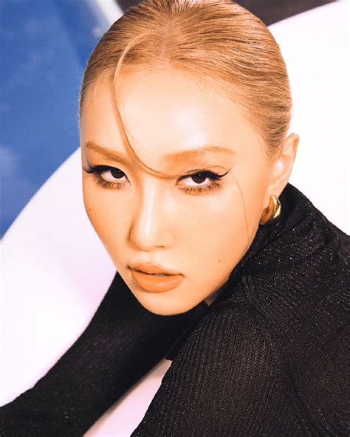 Hwasa's pet Lion