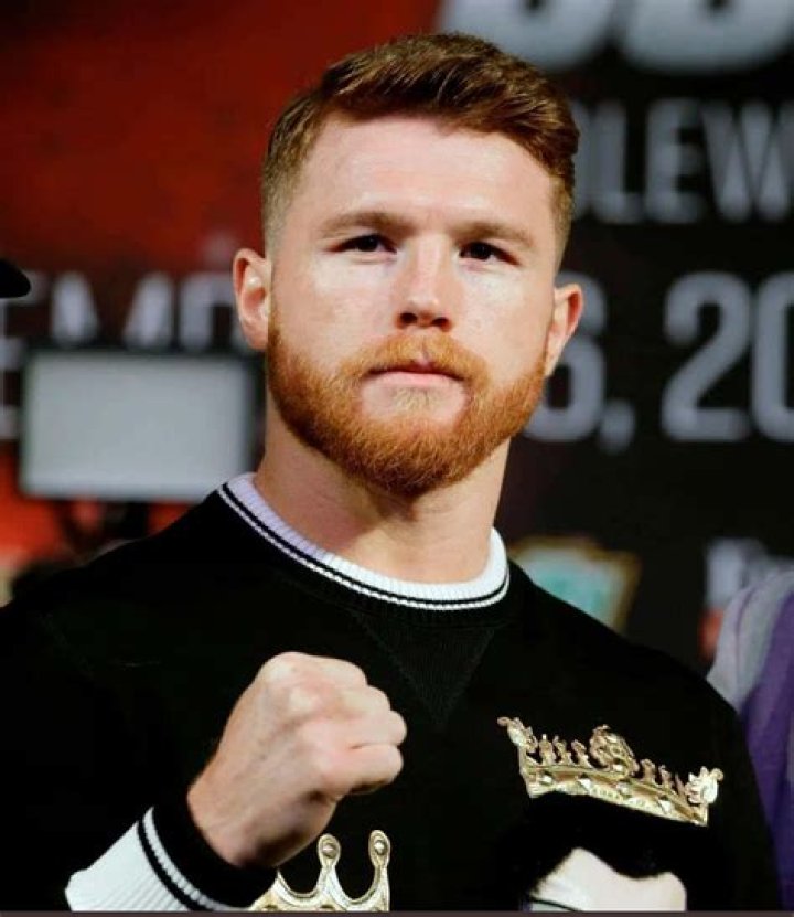 Saul Alvarez Profile Image (Source: Wikipedia)