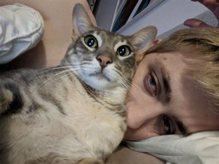 Sodapoppin Pets