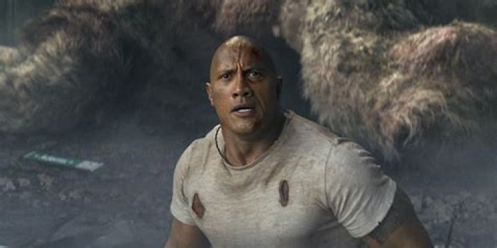 the rock