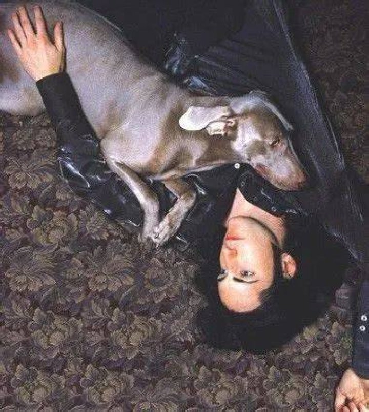 Trent Reznor Pets