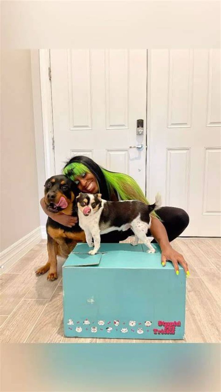 Trinity Fatu (Naomi) Pets