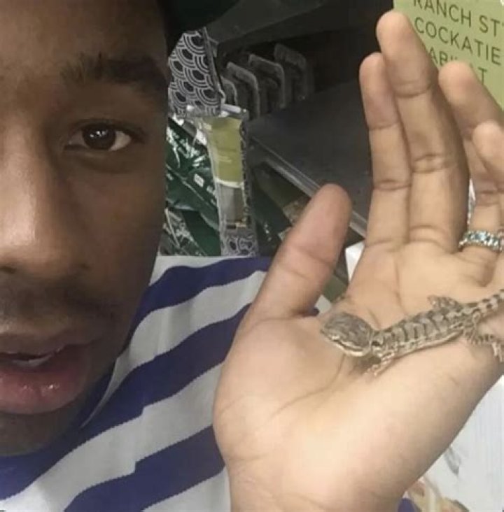 Tyler, the Creator Pets